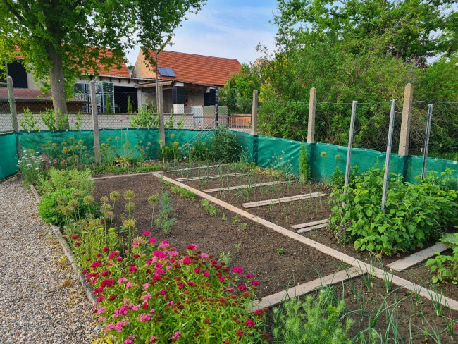 Kundenfoto von Privacy Netting - 50% - by the m² (Custom-Made) 