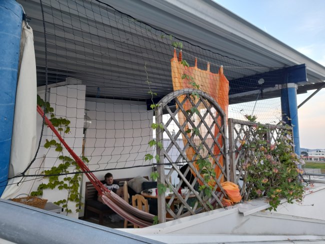 Kundenfoto von Climbing Plant Net by square meter (Custom-Made), Black 