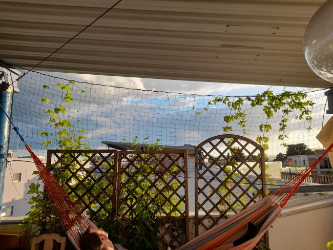 Kundenfoto von Climbing Plant Net by square meter (Custom-Made), Black 