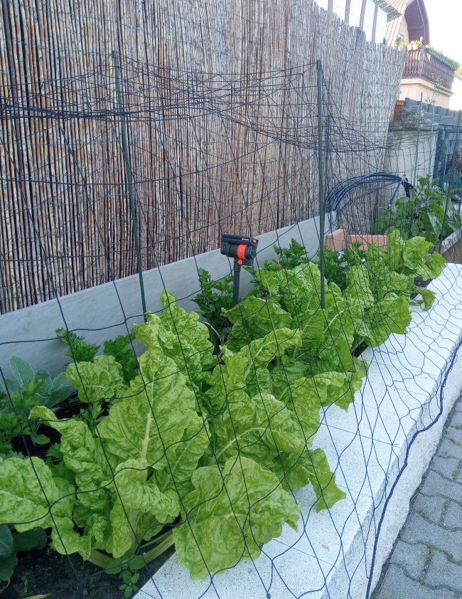 Kundenfoto von Heron Protection Net by the m² (Custom-Made), black 