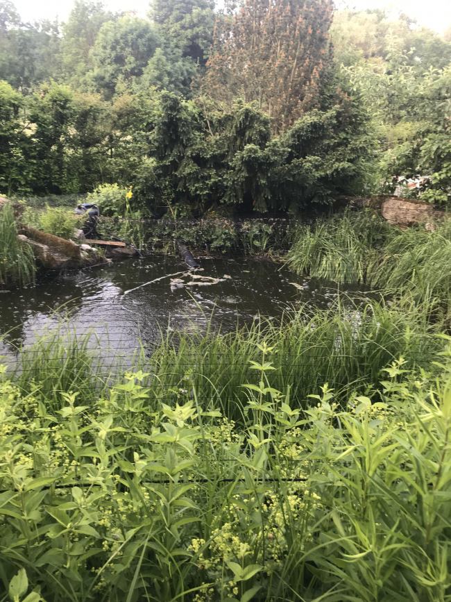 Kundenfoto von Heron Protection Net by the m² (Custom-Made), black 