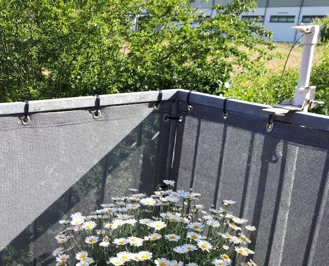 Kundenfoto von Cable Strap 7.8 x 300 mm 