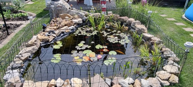 Kundenfoto von Heron Protection Net by the m² (Custom-Made), black 