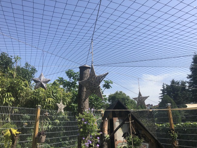 Kundenfoto von Poultry Net by the m² (Made to Measure), Black 