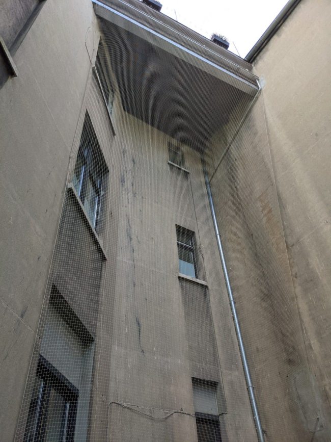 Kundenfoto von Bird Protection Net with Border, by the m² (Custom-Made) 