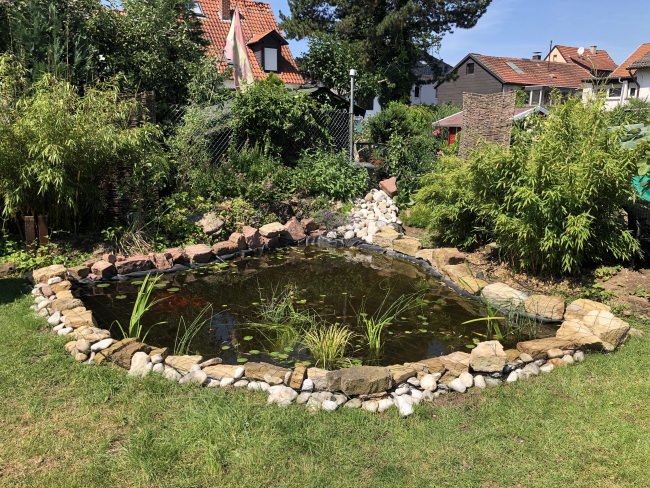 Kundenfoto von Heron Protection Net by the m² (Custom-Made), black 