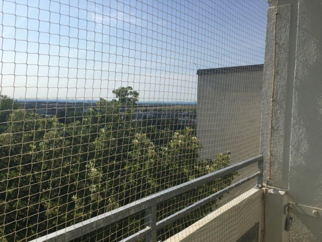 Kundenfoto von Bird Protection Net with Border, by the m² (Custom-Made) 