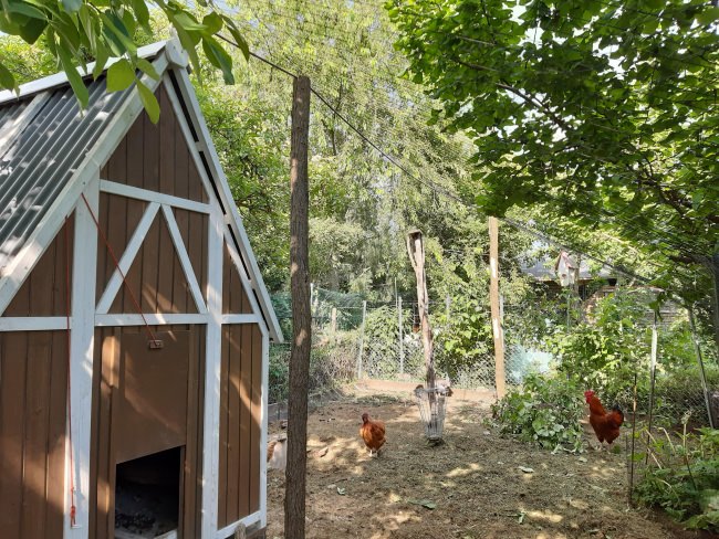 Kundenfoto von Reiher-Schutznetz per m² (nach Maß), schwarz 