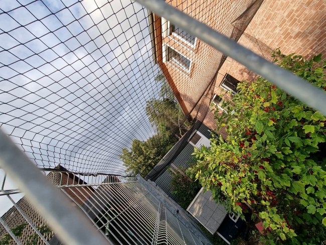 Kundenfoto von Cat Safety Net by the m² (Custom-Made) 