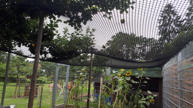 Kundenfoto von Netz nach Maß (per m²) 3,0/30 mm, schwarz 