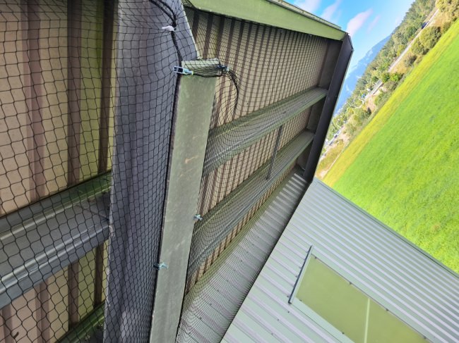 Kundenfoto von Bird Protection Net with Border, by the m² (Custom-Made) 