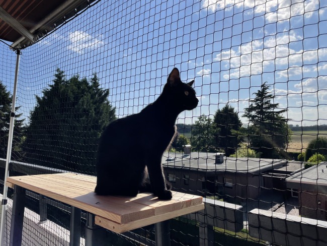 Kundenfoto von Cat Safety Net by the m² (Custom-Made) 