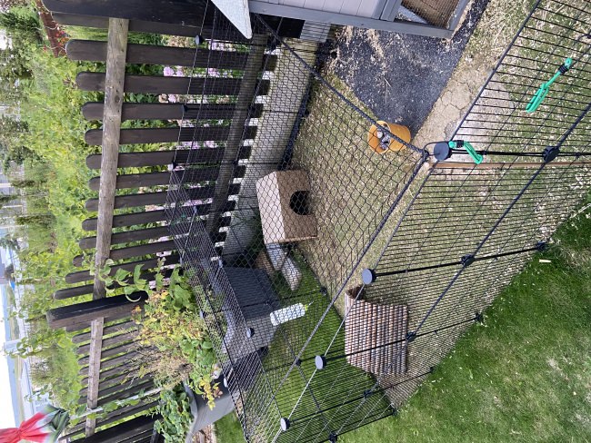 Kundenfoto von Poultry Net for chicken pens, by the m² (Made to Measure) 