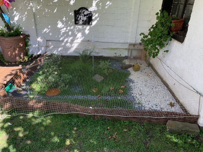 Kundenfoto von Bird Protection Net with Border, by the m² (Custom-Made) 