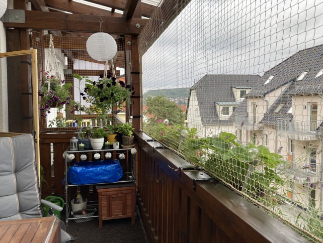 Kundenfoto von Bird Protection Net with Border, by the m² (Custom-Made) 