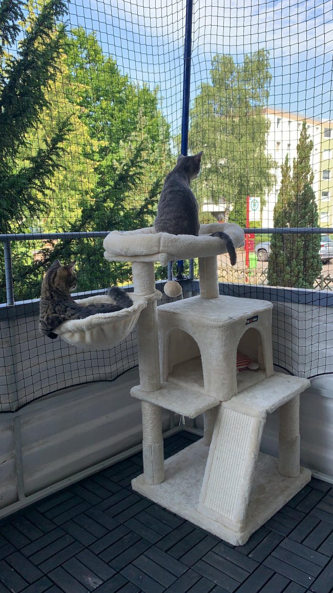 Kundenfoto von Cat Safety Net by the m² (Custom-Made) 