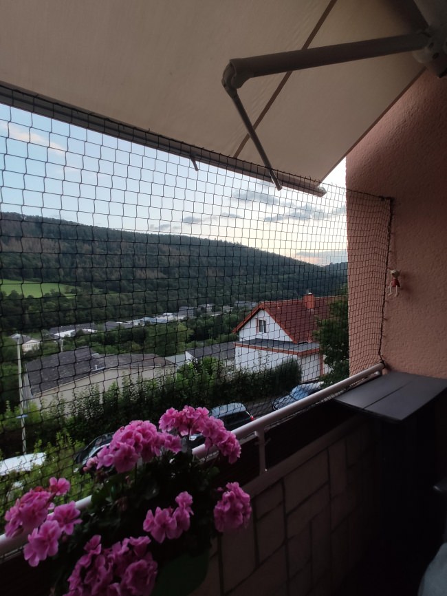 Kundenfoto von Cat Net by the m² (Made to Measure) 