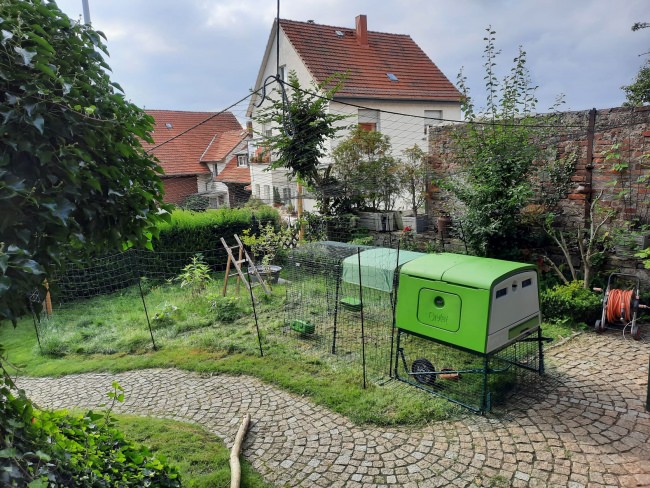 Kundenfoto von Aviary Net by the m² (Custom-Made), black 