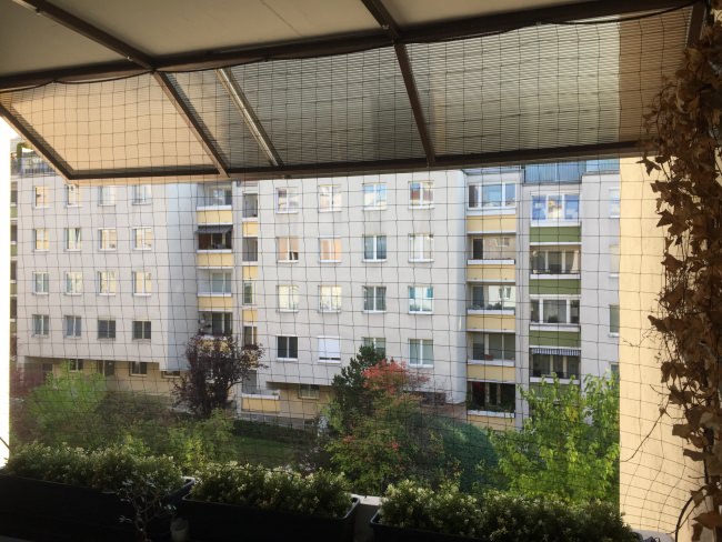 Kundenfoto von Safety Net by the m² (Made to Measure) 1.0/50 mm 