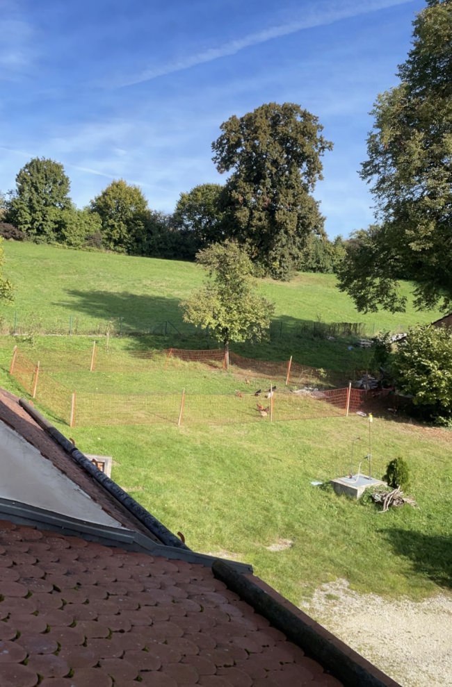 Kundenfoto von Reiher-Schutznetz per m² (nach Maß), schwarz 