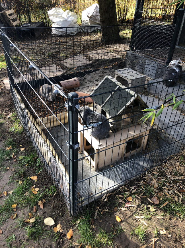 Kundenfoto von Greifvogel-Schutznetz für Hühnergehege nach Maß 