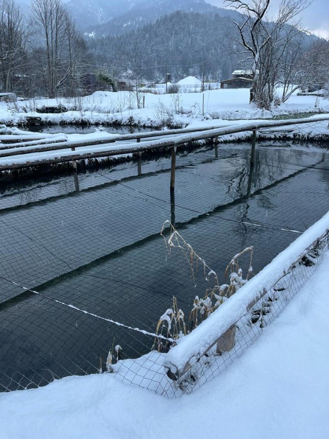 Kundenfoto von Taubenschutznetz per m² (nach Maß) 