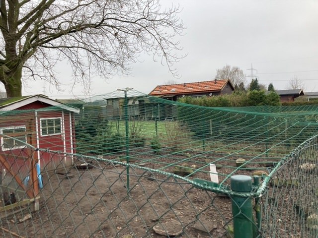 Kundenfoto von Netz per Quadratmeter (nach Maß) 