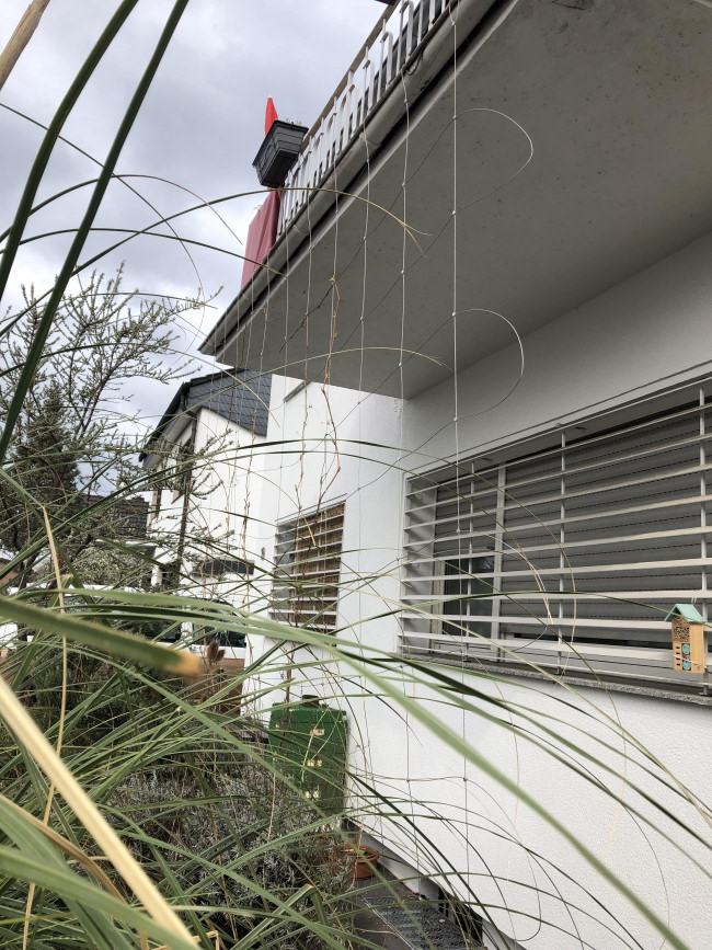 Kundenfoto von Stainless Steel Trellis Net (2.0 mm/300 mm) 