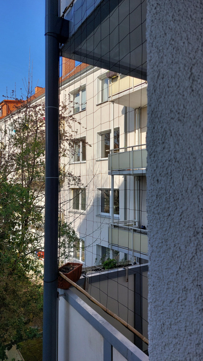 Kundenfoto von Climbing Plant Net by the m² (Trellis Netting), Black 