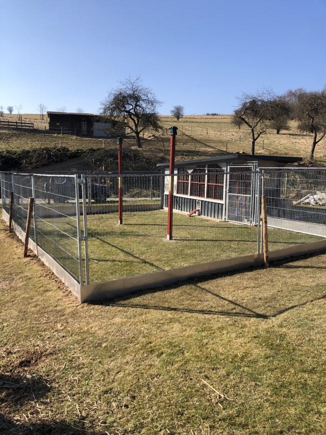 Kundenfoto von Poultry Net by the m² (Made to Measure), Black 