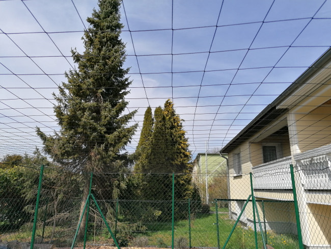 Kundenfoto von Heron Protection Net by the m² (Custom-Made), black 