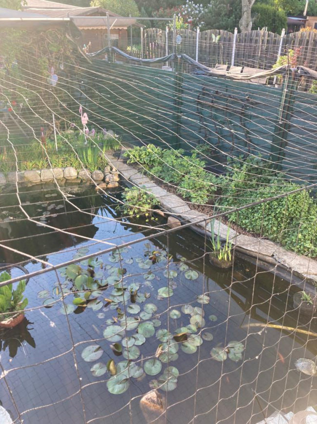 Kundenfoto von Heron Protection Net by the m² (Custom-Made), black 