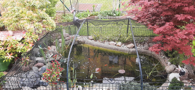 Kundenfoto von Close-meshed Leaf Netting by the m² (Made to Measure) 