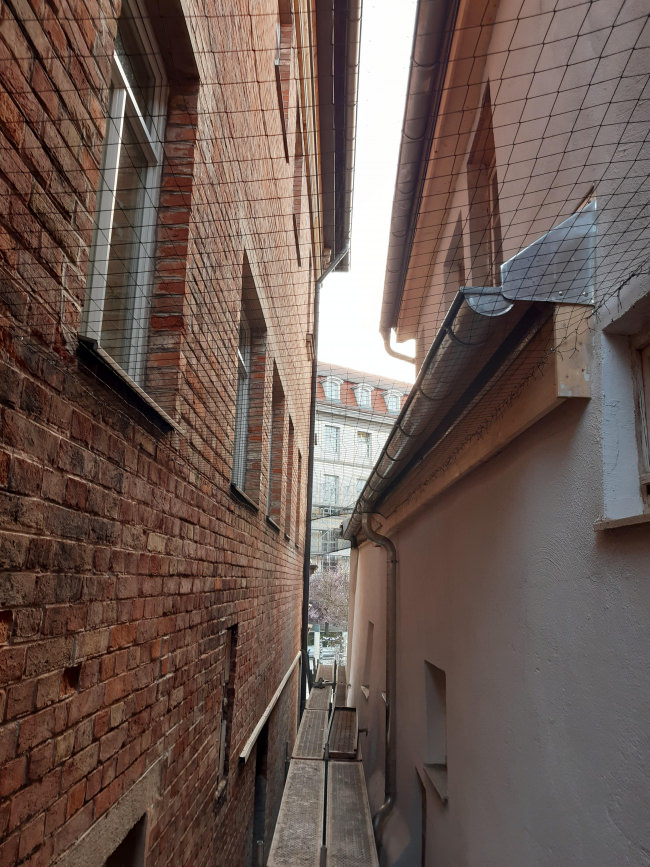 Kundenfoto von Pigeon Protection Net by the m² (Custom-Made) 