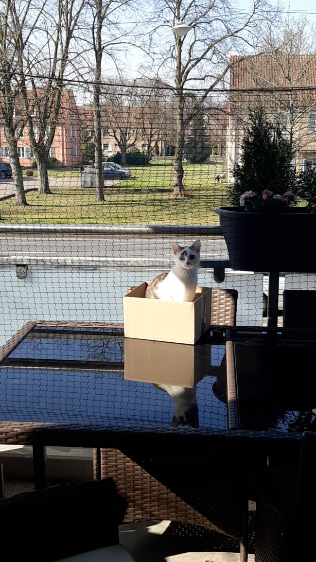 Kundenfoto von Vogelschutznetz per m² (nach Maß) 