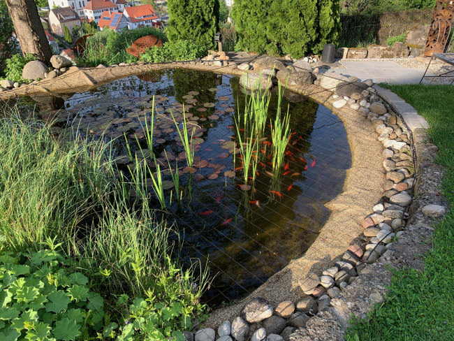 Kundenfoto von Heron Protection Net by the m² (Custom-Made), black 