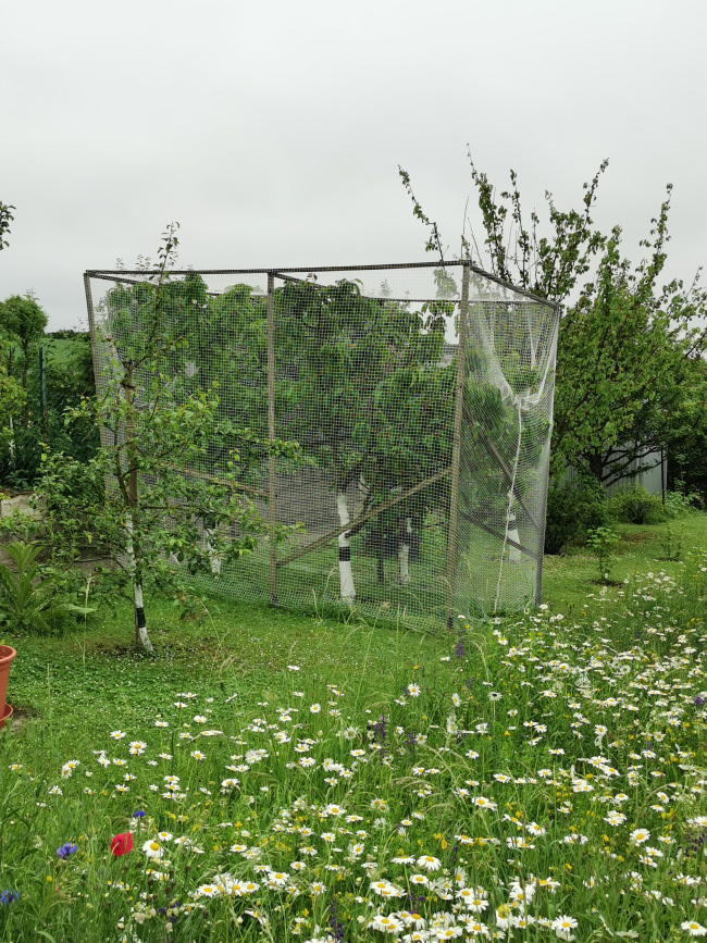 Kundenfoto von Bird Protection Net with Border, by the m² (Custom-Made) 