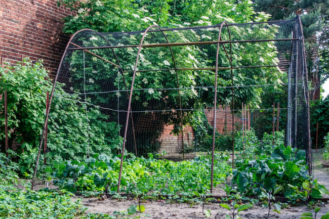 Kundenfoto von Vogelschutznetz per m² (nach Maß) 