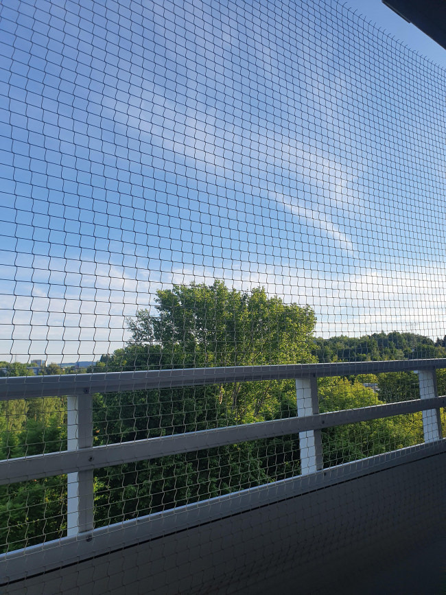 Kundenfoto von Vogelschutznetz per m² (nach Maß) 