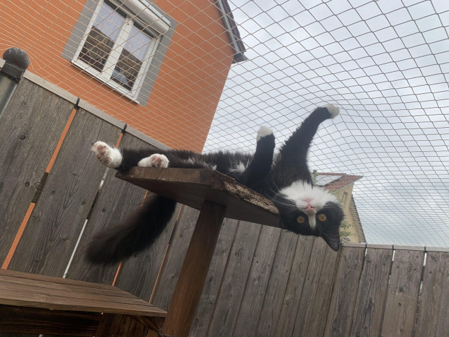 Kundenfoto von Netz per Quadratmeter (nach Maß) 1,0/30 mm 