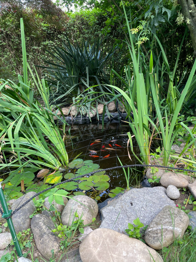 Kundenfoto von Heron Protection Net by the m² (Custom-Made), black 