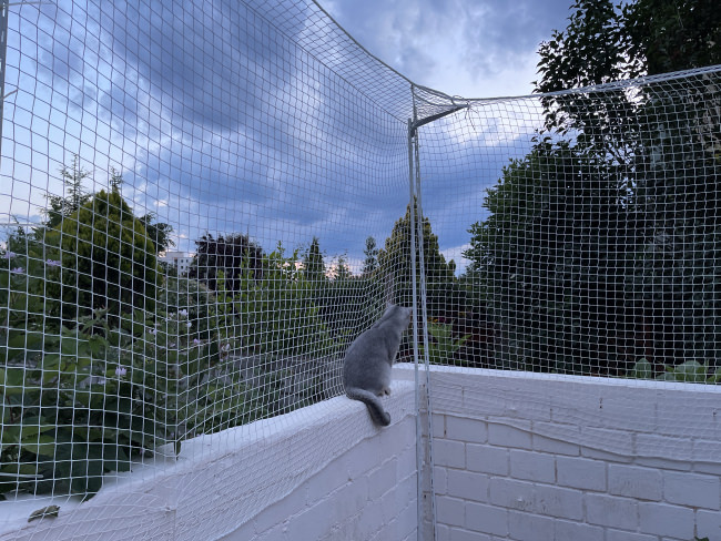 Kundenfoto von Fastening Cord 3 mm - Available by the Meter 