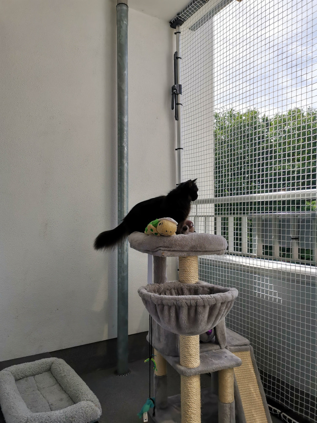 Kundenfoto von Extra Strong Cat Safety Net, Custom-Made 