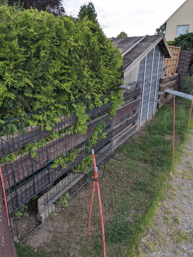 Kundenfoto von Aviary Net by the m² (Custom-Made), black 