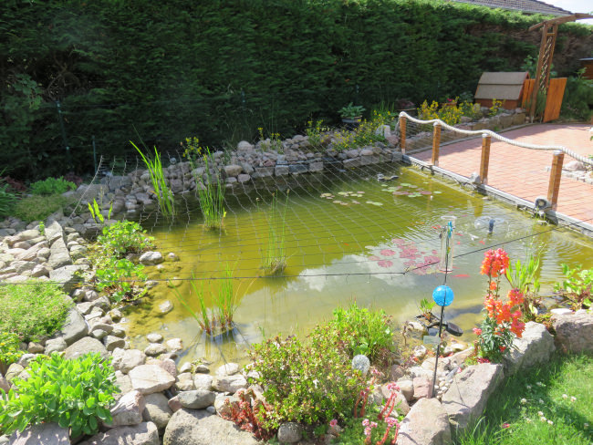 Kundenfoto von Heron Guard Net by the m² (Custom-Made), black 