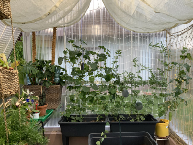 Kundenfoto von Sicherheitsnetz per m² (nach Maß) 