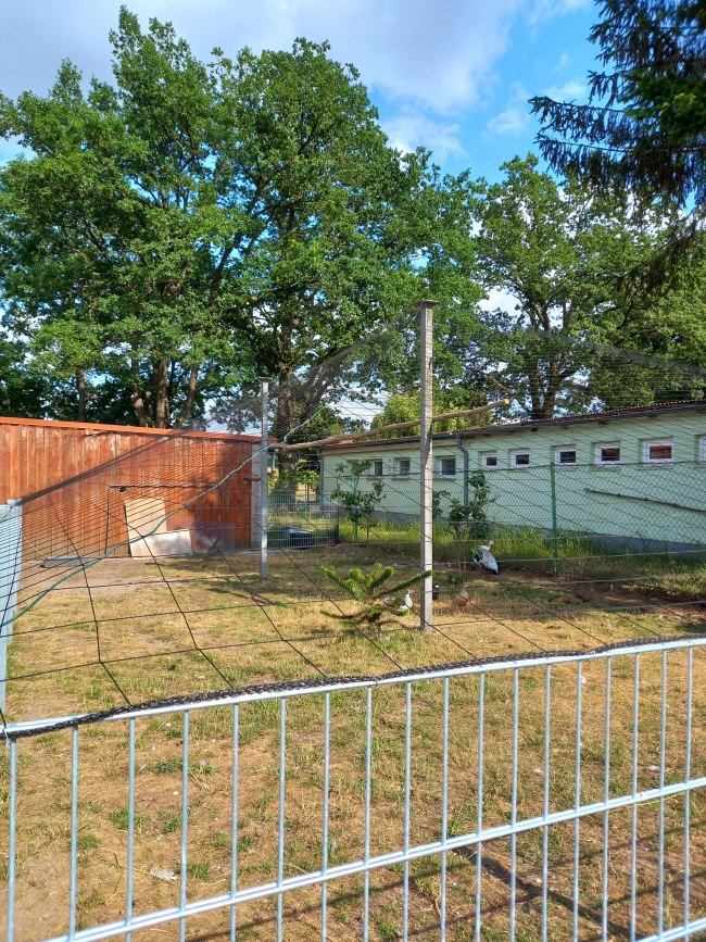 Kundenfoto von Aviary Net by the m² (Custom-Made), black 