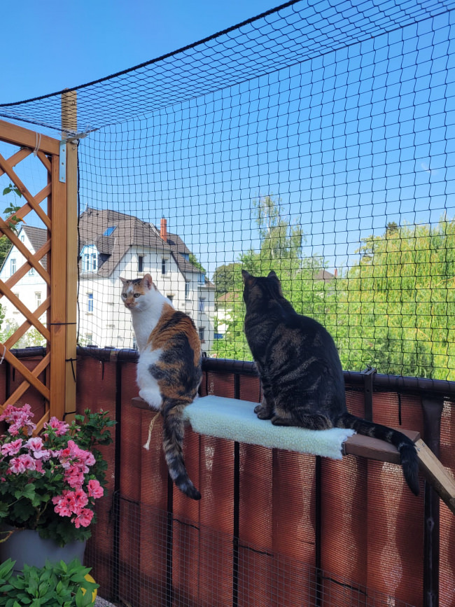 Kundenfoto von Cat Safety Net by the m² (Custom-Made) 