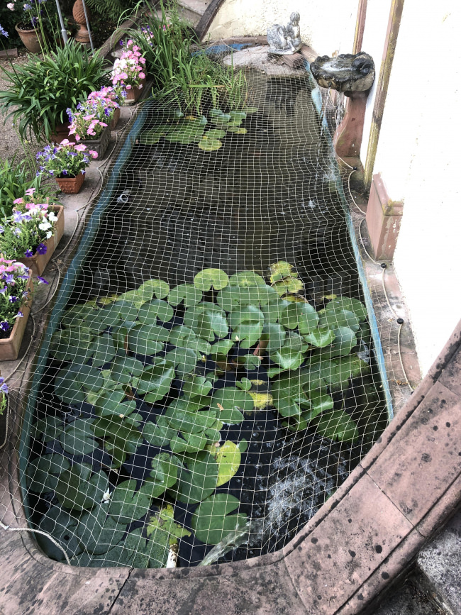 Kundenfoto von Taubenschutznetz per m² (nach Maß) 