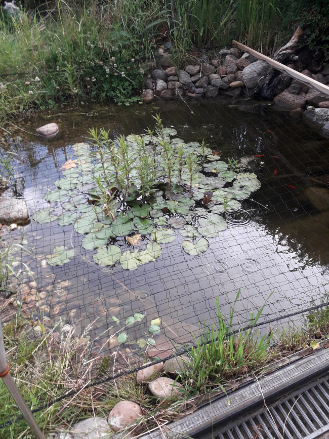 Kundenfoto von Taubenschutznetz per m² (nach Maß) 